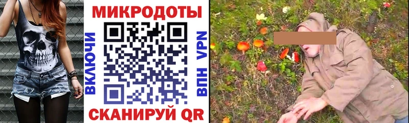 Купить  Курильск  Псилоцибиновые грибы Psilocybe 