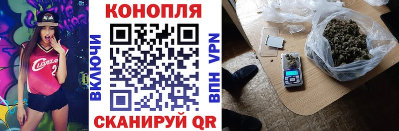 Купить  Курильск  Марихуана Amnesia 